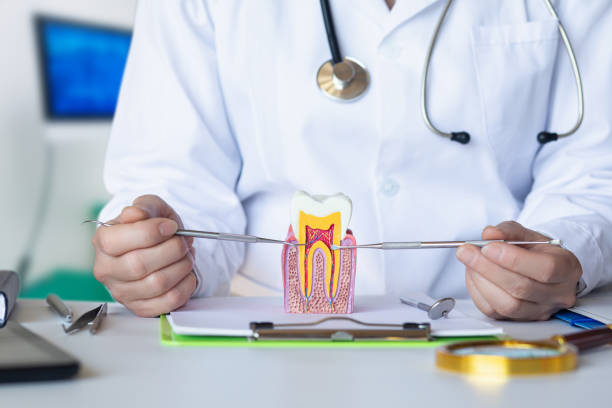 Best Emergency Treatment for Dental Infections or Abscesses in Tecumseh, NE